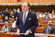 قومی اسمبلی نے آئندہ مالی سال کا وفاقی بجٹ منظور کرلیا