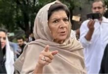 عمران خان کا کیس صرف 30 سیکنڈ کیلئے سنا گیا: علیمہ خان