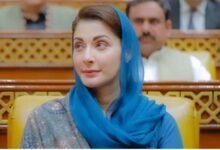 وزیراعلیٰ پنجاب کا بارش متاثرین کیلئے فی خاندان 10 لاکھ روپے امداد کا اعلان