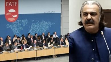 بھارت نے فیٹف میں علی امین گنڈاپورکا بیان پاکستان کیخلاف بطور ثبوت جمع کروادیا