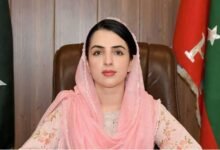 سینیٹ ضمنی انتخاب: حکومتی حمایت یافتہ آزاد امیدوار مشال یوسفزئی کامیاب