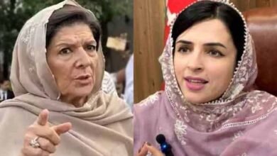 پی ٹی آئی میں اندرونی اختلافات نمایاں، مشال یوسفزئی کا علیمہ خان کے بیٹے پر طنز
