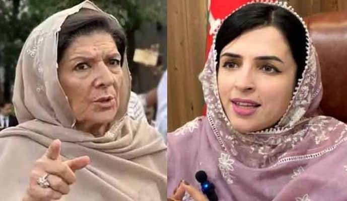 پی ٹی آئی میں اندرونی اختلافات نمایاں، مشال یوسفزئی کا علیمہ خان کے بیٹے پر طنز