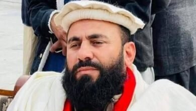 باجوڑ میں فائرنگ سے اے این پی رہنما مولانا خان زیب سمیت 2 افراد جاں بحق