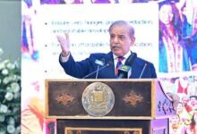 کرپٹ افسروں کو ہٹایا تو ملک بھر سے سفارشوں کے فون آئے: وزیراعظم