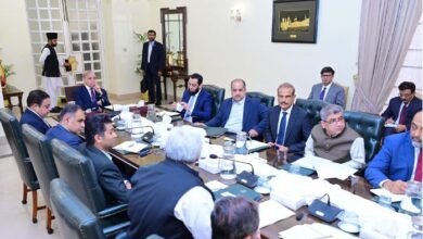 ٹیکس بیس بڑھانا اور غریب پر ٹیکس کم کرنا اولین ترجیح ہے: وزیراعظم