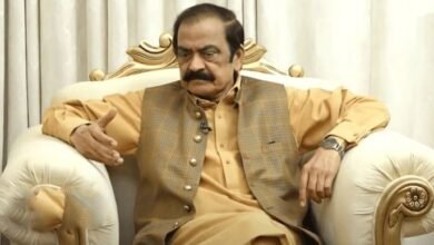 پی ٹی آئی حکومت سے نہیں اسٹیبلشمنٹ سے بات کرنا چاہتی ہے: رانا ثنااللہ