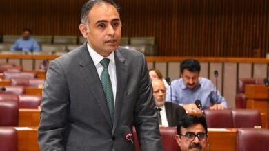 امریکا سے معاہدےکے بعد پاکستان کو جنوبی ایشیا میں سب سےکم ٹیرف ملا، وزیرمملکت خزانہ