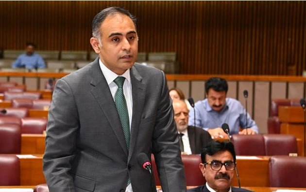 امریکا سے معاہدےکے بعد پاکستان کو جنوبی ایشیا میں سب سےکم ٹیرف ملا، وزیرمملکت خزانہ