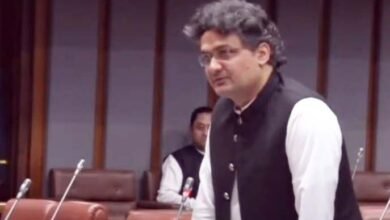 عمران خان کے ٹائیگرز نے رات جاگ کر معرکہ حق پر مہم چلائی لیکن انہیں ایوارڈ نہیں دیا گیا: فیصل جاوید