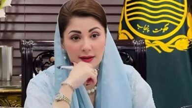 عنقریب پنجاب میں انفرااسٹرکچر جاپان کے معیار تک لے آئیں گے: مریم نواز
