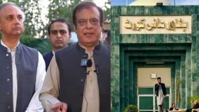 عمر ایوب اور شبلی فراز نے نااہلی کیخلاف پشاور ہائیکورٹ سے رجوع کرلیا