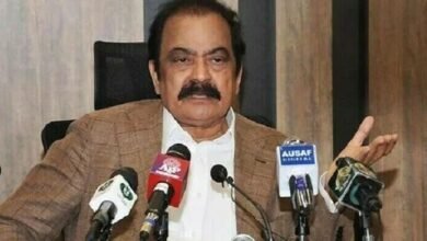 عمران کے بیٹوں کیلئے سیاست اور تحریک کی سربراہی آسان کام نہیں: رانا ثنااللہ