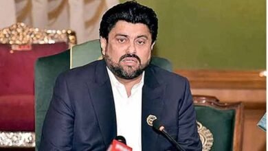 شہریوں کو اجرک والی نمبرپلیٹ مفت دی جائے، گورنر سندھ کا صوبائی حکومت سے مطالبہ