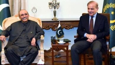 ن لیگ اور پیپلزپارٹی کا ضمنی انتخابات مل کر لڑنے کا اعلان