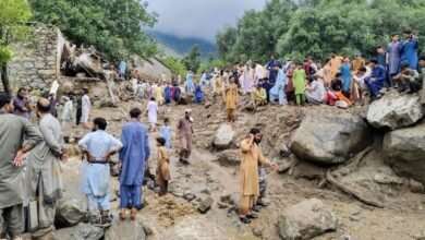 بارشوں کے باعث 20 ارب سے زائد کا مالی نقصان ہوا، وزیراعلیٰ پختونخوا کو نقصانات کی رپورٹ ارسال