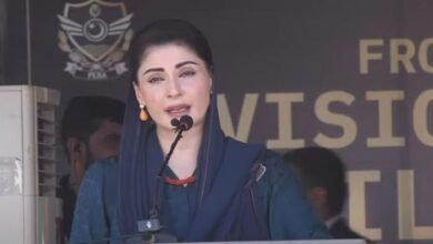 وزیراعلیٰ پنجاب کا زمینوں پر ناجائز قبضے چھڑانے کیلئے قانون سازی کا اعلان