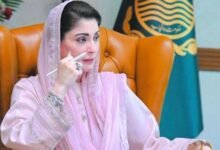 وزیراعلیٰ پنجاب کیخلاف سوشل میڈیا پر نازیبا الفاظ استعمال کرنے پر 3 ملزمان گرفتار