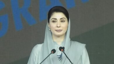 پنجاب میں بدترین سیلاب آیا، دوسرے صوبوں نے سیلاب پر سیاست کی: مریم نواز