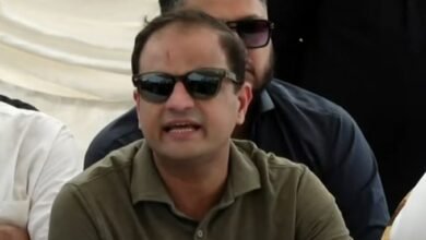 وفاق 20 ارب نہیں 200 ارب دے، ہم خودشہر کو ٹھیک کریں گے: مرتضیٰ وہاب