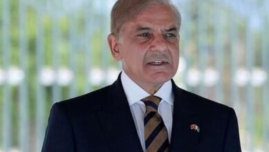 مسئلہ کشمیر حل کیے بغیر پاک بھارت تعلقات قائم نہیں ہوسکتے: وزیر اعظم شہباز شریف