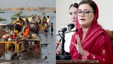 پنجاب حکومت نے بینظیر انکم سپورٹ کے ذریعے سیلاب متاثرین کی امداد سے انکار کردیا