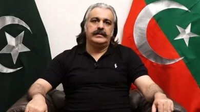 وزارت اعلیٰ پارٹی اور عمران خان کی امانت ہے، علی امین گنڈاپور