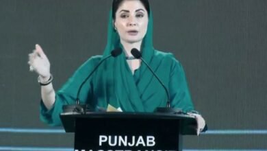 مریم نواز کبھی معافی نہیں مانگے گی: وزیراعلیٰ پنجاب