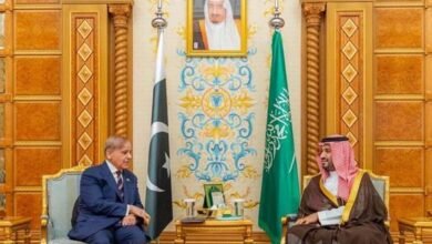 پاکستان اور سعودی عرب نے اقتصادی تعاون کا فریم ورک لانچ کرنےکا اعلان کردیا