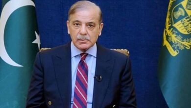 غزہ فلوٹیلا میں پاکستانیوں کی شرکت پاکستانی عوام کی امنگوں اور جذبے کی نمائندگی ہے: وزیر اعظم