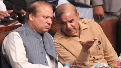 وزیراعظم کی نواز شریف سے ملاقات، حالیہ بیرون ملک دوروں سے متعلق آگاہ کیا