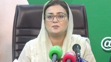 پنجاب کابینہ نے ٹی ایل پی پر پابندی کی منظوری دیدی