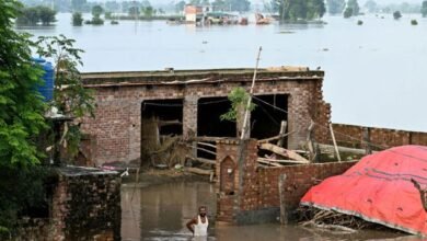 پنجاب میں سیلاب سے متاثرہ 81 ہزار سے زائد افراد کی تفصیلات جمع کر لی گئیںتفصیلات