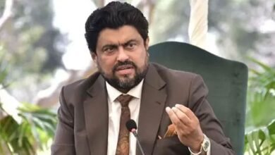 افغانستان یاد رکھے پاک فوج نے بھارت کو گھٹنے ٹیکنے پر مجبور کیا تھا: گورنر سندھ