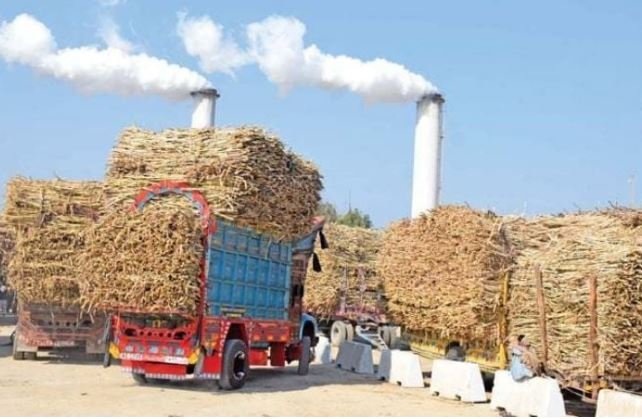 کرشنگ نہ کرنے والی ملوں کیخلاف آج سے ایکشن ہوگا،کین کمشنر پنجاب