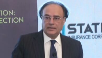 گوگل پاکستان کو ایکسپورٹ حب بنانے کا منصوبہ بنانا چاہتا ہے: وزیر خزانہ