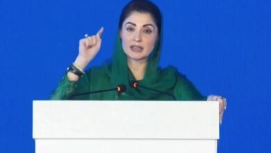 کام محنت سے ہوتا ہے جادو ٹونے سے نہیں، ان کا نام لو تو بدتمیزی کا خیال آتا ہے: مریم