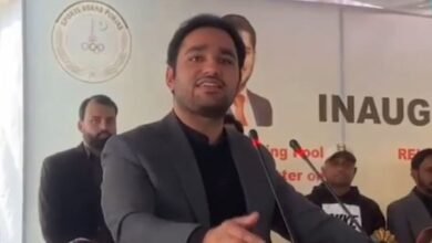 ڈونلڈ ٹرمپ ہماری ایسے عزت کرتے ہیں جیسے ماموں کا بیٹا ہے: وزیر کھیل پنجاب