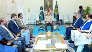 27 ویں ترمیم: حکومت نے رابطے تیز کردیے، وزیراعظم کی مختلف جماعتوں کے وفود سے ملاقاتیں