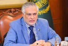 پائیدار ترقی کا انحصار امن و استحکام پر ہے، اسحاق ڈار