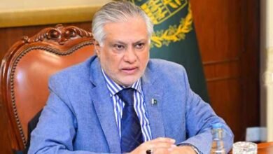 پائیدار ترقی کا انحصار امن و استحکام پر ہے، اسحاق ڈار