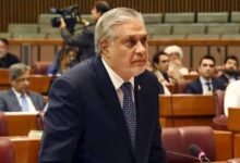 پارٹی لائن کیخلاف ووٹ دینا انحراف مگر ضمیر کے مطابق ووٹ دیا جائے تو شمار ہوگا: اسحاق ڈار