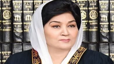 جسٹس مسرت ہلالی کا آئینی عدالت کی جج بننے سے معذرت