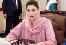 بچوں کیخلاف جرائم میں ملوث لوگ سماج کے ناسور ہیں، : مریم نواز