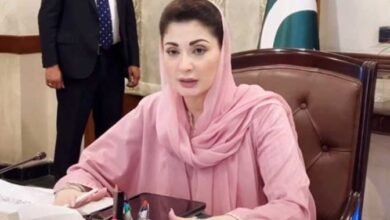 بچوں کیخلاف جرائم میں ملوث لوگ سماج کے ناسور ہیں، : مریم نواز