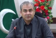 دستاویزات کے بغیر کسی کو سفر کی اجازت نہ دی جائے: وزیر داخلہ