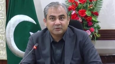 دستاویزات کے بغیر کسی کو سفر کی اجازت نہ دی جائے: وزیر داخلہ