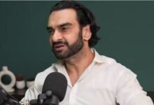 توقع کے مطابق کام نہ ہونے کو ناکامی نہیں کہہ سکتے: منیب نواز