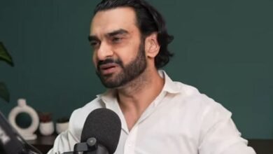 توقع کے مطابق کام نہ ہونے کو ناکامی نہیں کہہ سکتے: منیب نواز