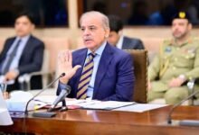 وفاقی کابینہ نے تینوں سروسز ایکٹس میں ترامیم کی منظوری دے دی